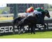  Carrera: P.Jose Antonio Rodriguez JAR Monta: R.N.Valle Caballo: Bruno